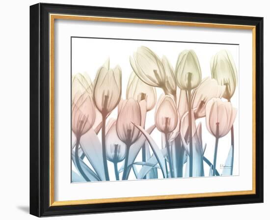 Magical Garden 2-Albert Koetsier-Framed Art Print