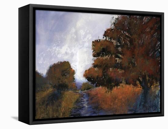 Magical Memories VII-Michael Tienhaara-Framed Stretched Canvas