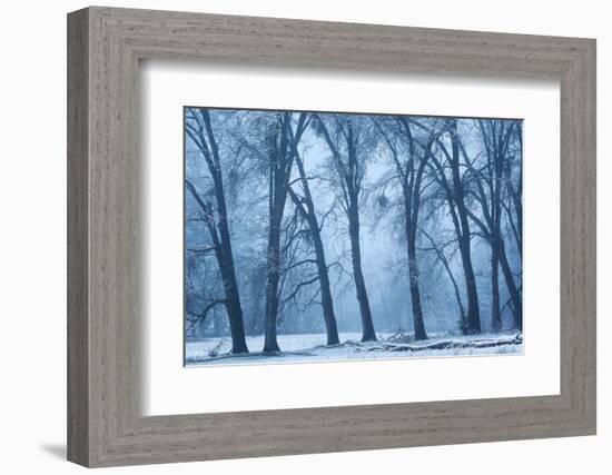 Magical Morning-Richard Wong-Framed Photographic Print