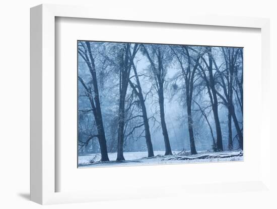 Magical Morning-Richard Wong-Framed Photographic Print