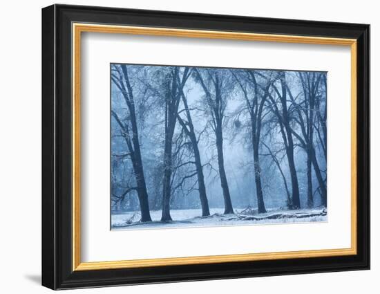 Magical Morning-Richard Wong-Framed Photographic Print