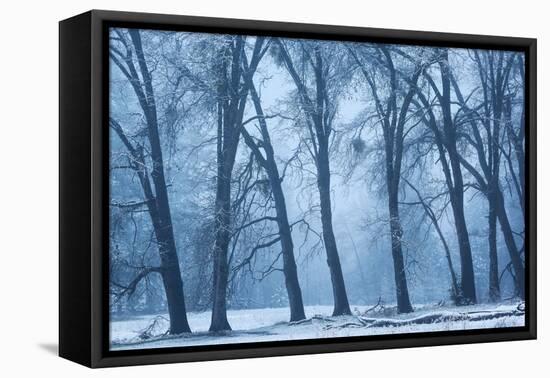 Magical Morning-Richard Wong-Framed Premier Image Canvas