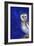 Magical Night 1, 2013-Nancy Moniz-Framed Giclee Print