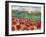 Magical Poppy Field-Carissa Luminess-Framed Giclee Print