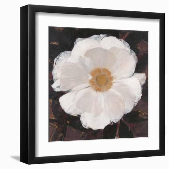 Magical White Cosmos-Ivo-Framed Art Print