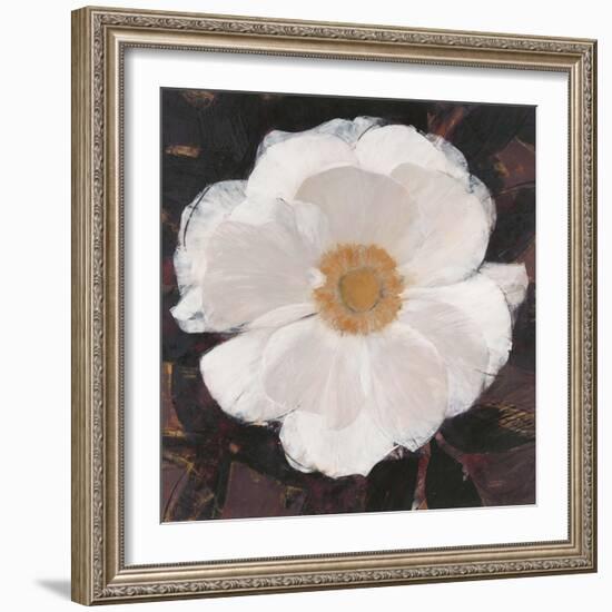 Magical White Cosmos-Ivo-Framed Art Print