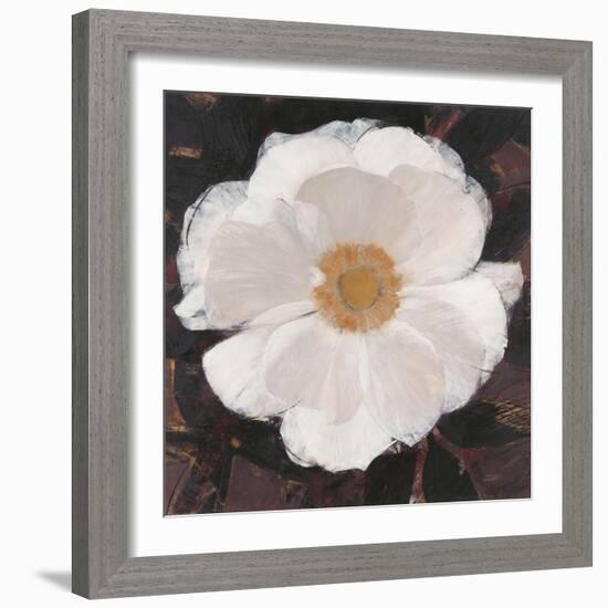 Magical White Cosmos-Ivo-Framed Art Print