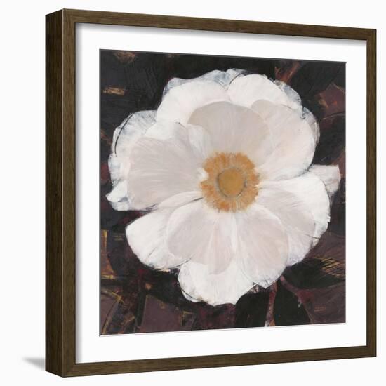 Magical White Cosmos-Ivo-Framed Art Print