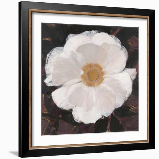 Magical White Cosmos-Ivo-Framed Art Print