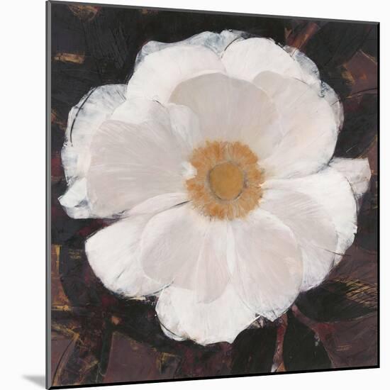 Magical White Cosmos-Ivo-Mounted Art Print