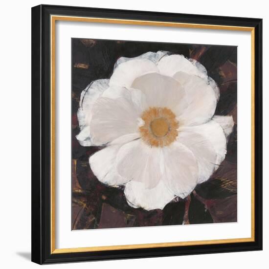 Magical White Cosmos-Ivo-Framed Art Print