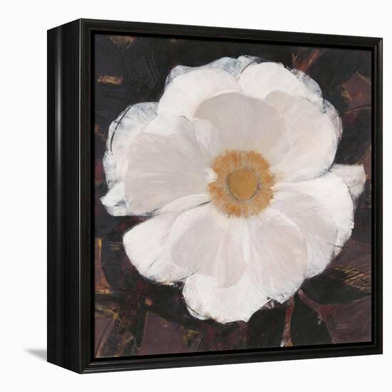 Magical White Cosmos-Ivo-Framed Stretched Canvas