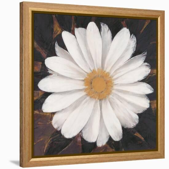 Magical White Daisy-Ivo-Framed Stretched Canvas