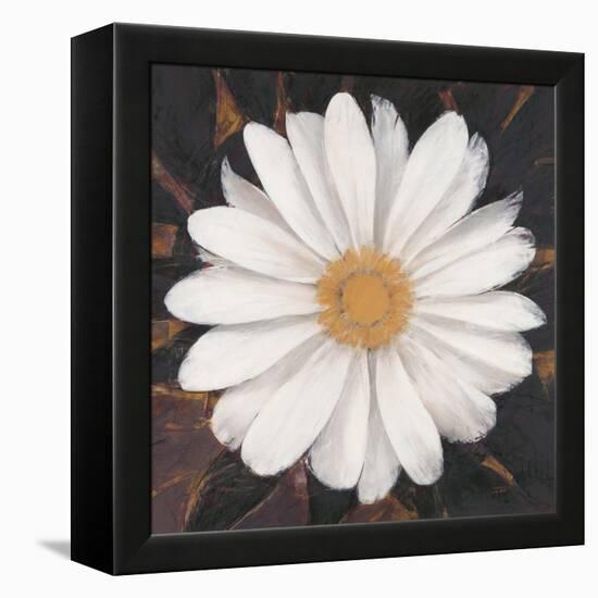 Magical White Daisy-Ivo-Framed Stretched Canvas