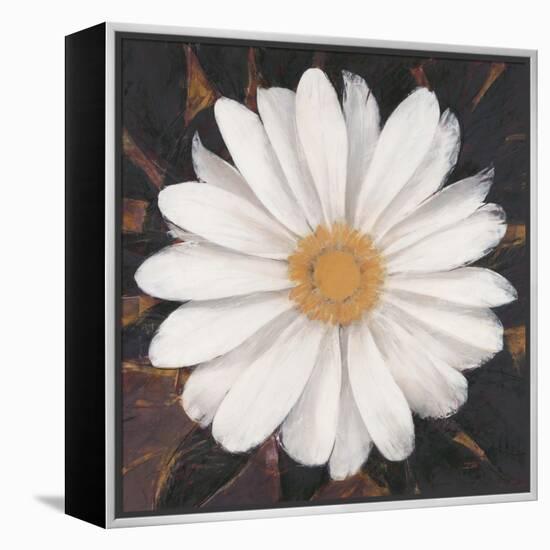 Magical White Daisy-Ivo-Framed Stretched Canvas