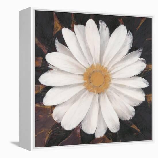 Magical White Daisy-Ivo-Framed Stretched Canvas