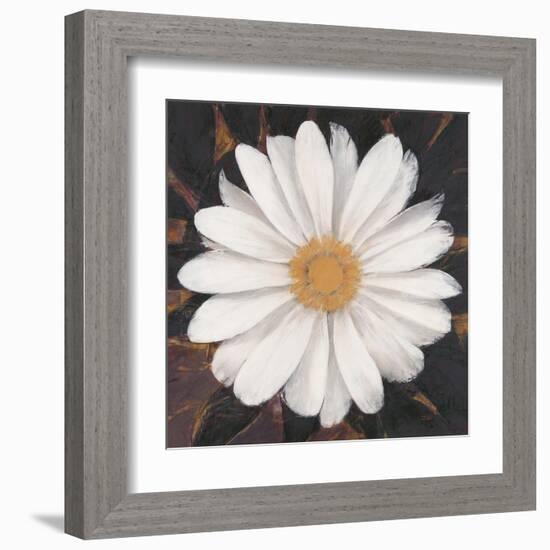 Magical White Daisy-Ivo-Framed Art Print