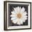 Magical White Daisy-Ivo-Framed Art Print