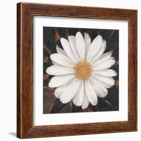 Magical White Daisy-Ivo-Framed Art Print