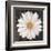 Magical White Daisy-Ivo-Framed Art Print