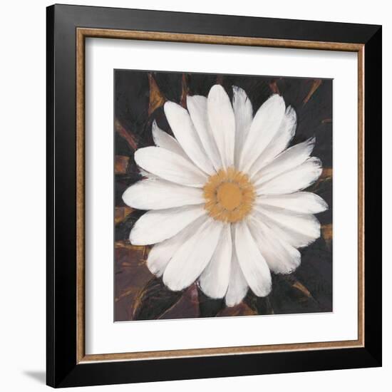 Magical White Daisy-Ivo-Framed Art Print