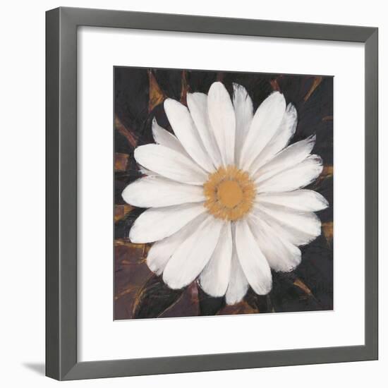 Magical White Daisy-Ivo-Framed Art Print