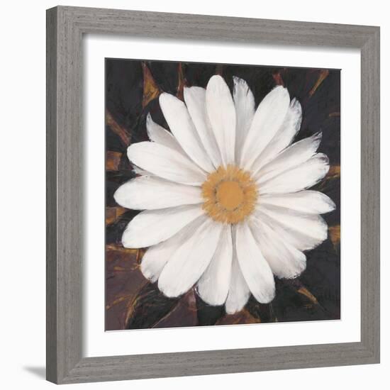 Magical White Daisy-Ivo-Framed Art Print