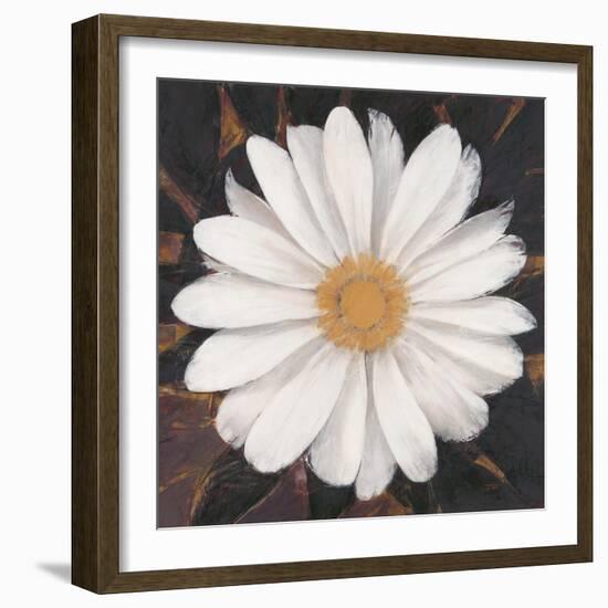 Magical White Daisy-Ivo-Framed Art Print