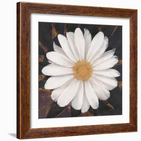 Magical White Daisy-Ivo-Framed Art Print