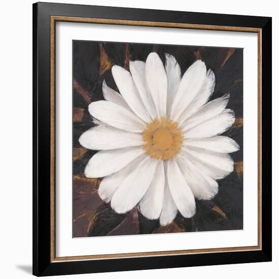 Magical White Daisy-Ivo-Framed Art Print