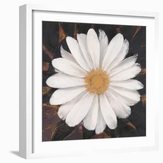 Magical White Daisy-Ivo-Framed Art Print
