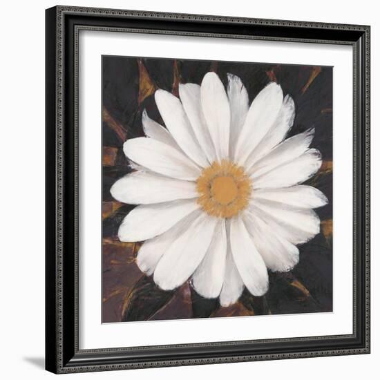 Magical White Daisy-Ivo-Framed Art Print