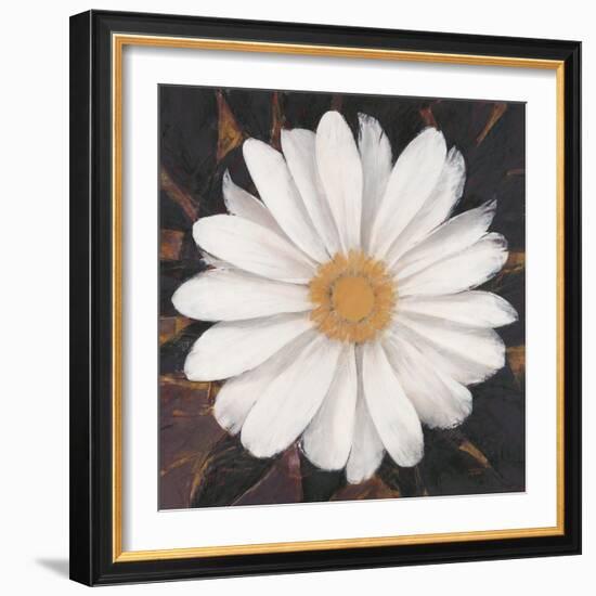 Magical White Daisy-Ivo-Framed Art Print