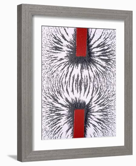 Magnetic Attraction-Cordelia Molloy-Framed Photographic Print