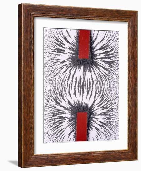 Magnetic Attraction-Cordelia Molloy-Framed Photographic Print