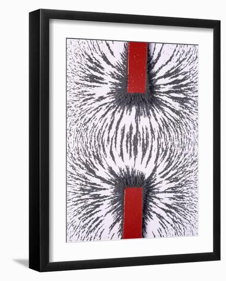 Magnetic Attraction-Cordelia Molloy-Framed Photographic Print