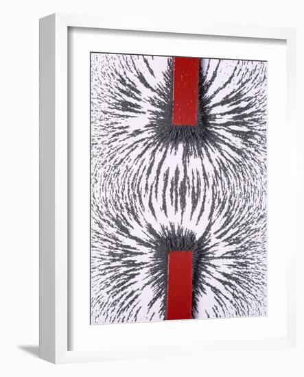 Magnetic Attraction-Cordelia Molloy-Framed Photographic Print