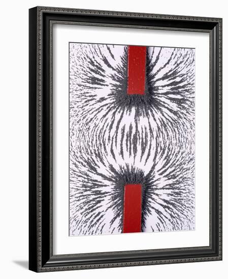 Magnetic Attraction-Cordelia Molloy-Framed Photographic Print