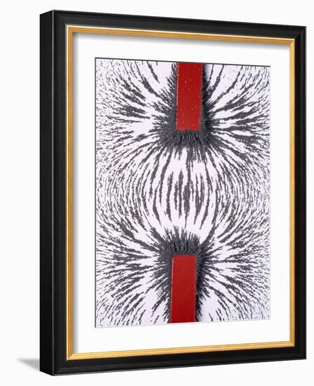 Magnetic Attraction-Cordelia Molloy-Framed Photographic Print