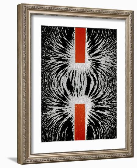 Magnetic Attraction-Cordelia Molloy-Framed Photographic Print