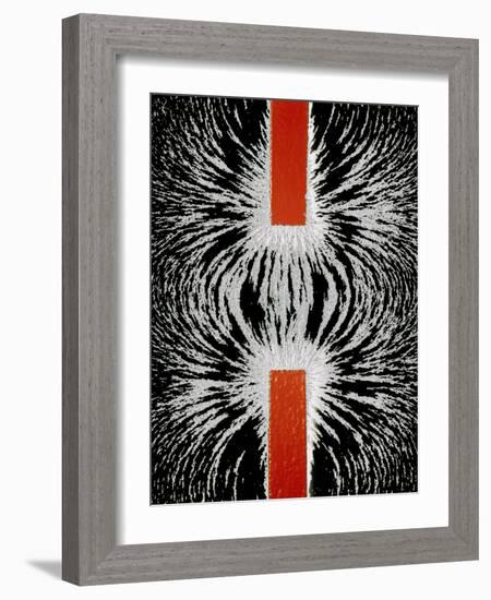 Magnetic Attraction-Cordelia Molloy-Framed Photographic Print