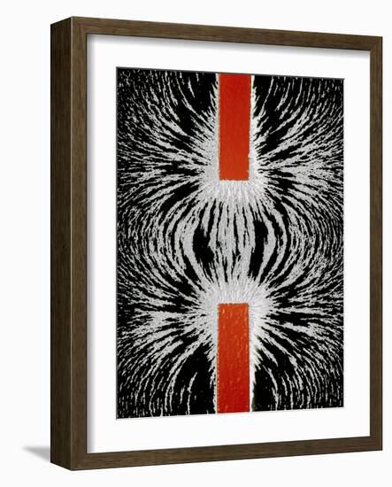 Magnetic Attraction-Cordelia Molloy-Framed Photographic Print