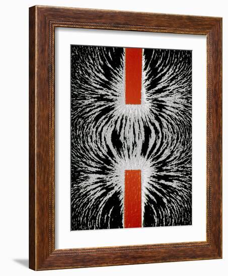 Magnetic Attraction-Cordelia Molloy-Framed Photographic Print