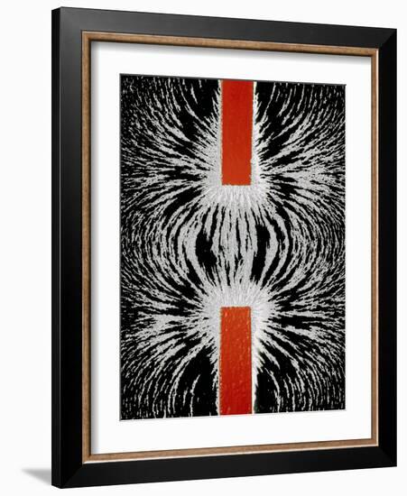 Magnetic Attraction-Cordelia Molloy-Framed Photographic Print