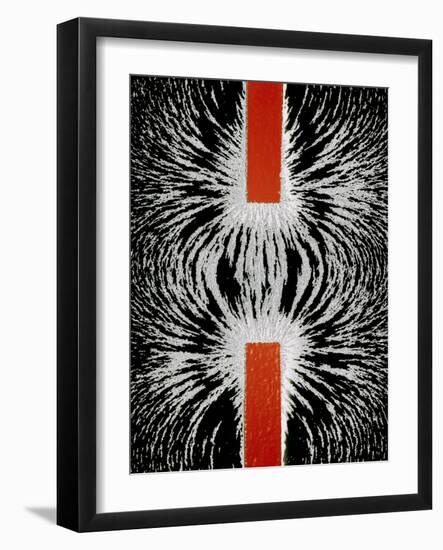 Magnetic Attraction-Cordelia Molloy-Framed Photographic Print