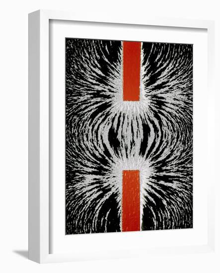Magnetic Attraction-Cordelia Molloy-Framed Photographic Print