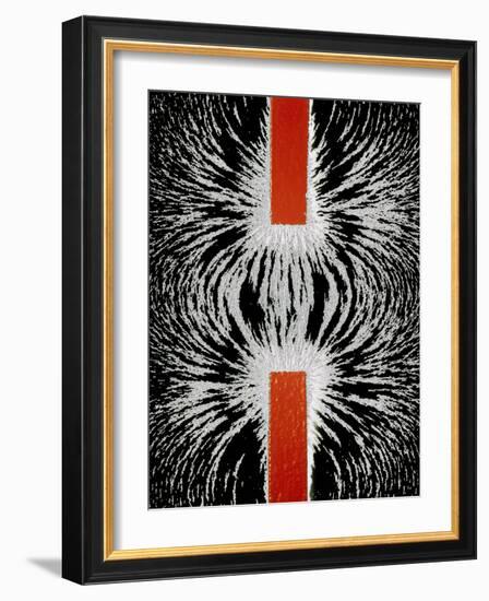 Magnetic Attraction-Cordelia Molloy-Framed Photographic Print