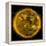 Magnetic Field Lines on the Sun-Stocktrek Images-Framed Premier Image Canvas