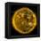 Magnetic Field Lines on the Sun-Stocktrek Images-Framed Premier Image Canvas