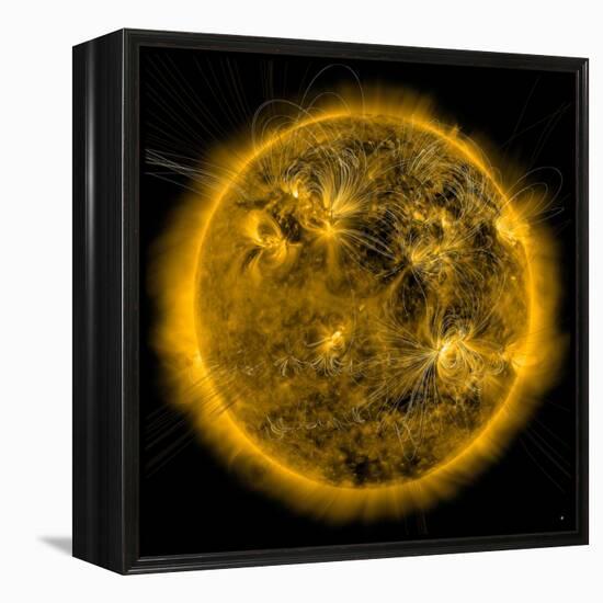 Magnetic Field Lines on the Sun-Stocktrek Images-Framed Premier Image Canvas